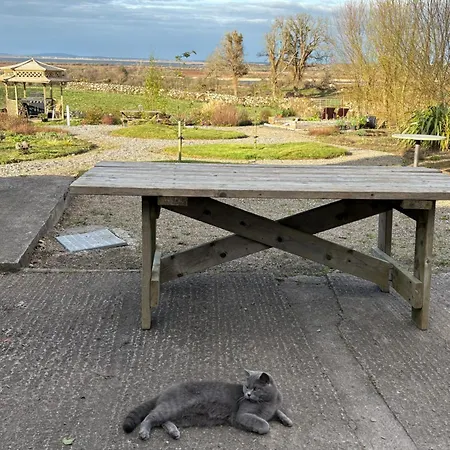 Ashmore Mews 公寓 戈尔韦